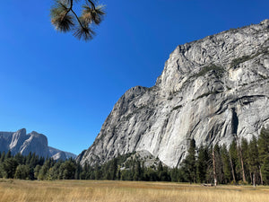 Yosemite to Napa 5 Day Itinerary